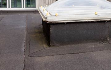 disadvantages of Holt Heath flat roofs