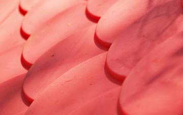 Holt Heath plastic roof costs