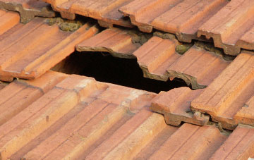 roof repair Holt Heath